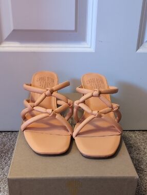 Charlotte Stone Paola